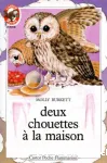 DEUX CHOUETTES A LA MAISON