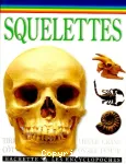 SQUELETTES