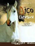 LE DICO DES CHEVAUX